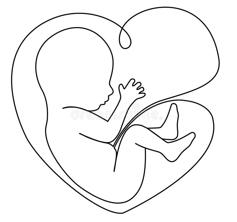 baby in womb clipart 20 free Cliparts | Download images on Clipground 2024