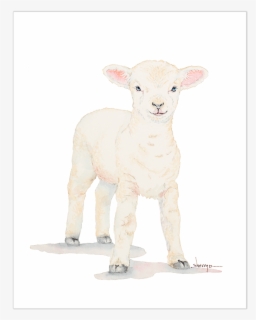 Free Baby Lamb Clip Art with No Background.