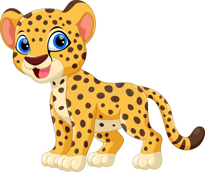 baby leopard clipart 20 free Cliparts | Download images on Clipground 2023