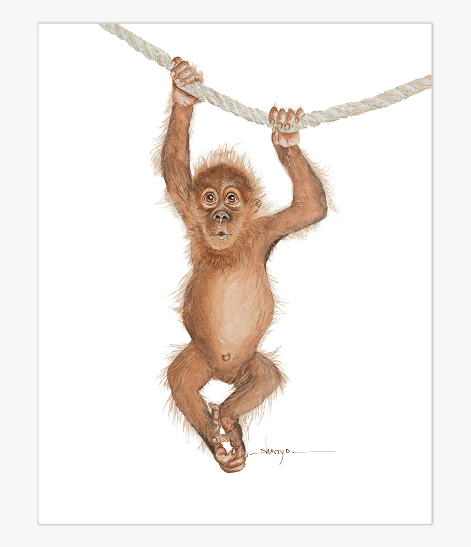 Baby Orangutan Wall Art\