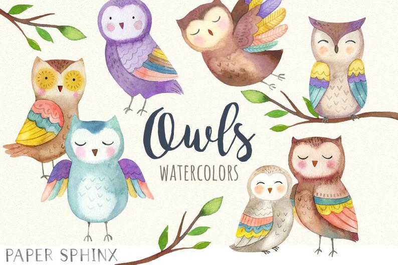 Watercolor Owl Clipart.