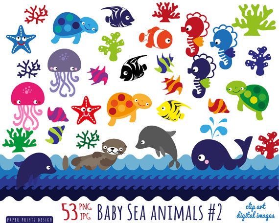 54 baby sea animals clipart, sea animals patterns clipart.