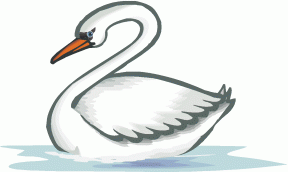 Baby Swan Clipart.