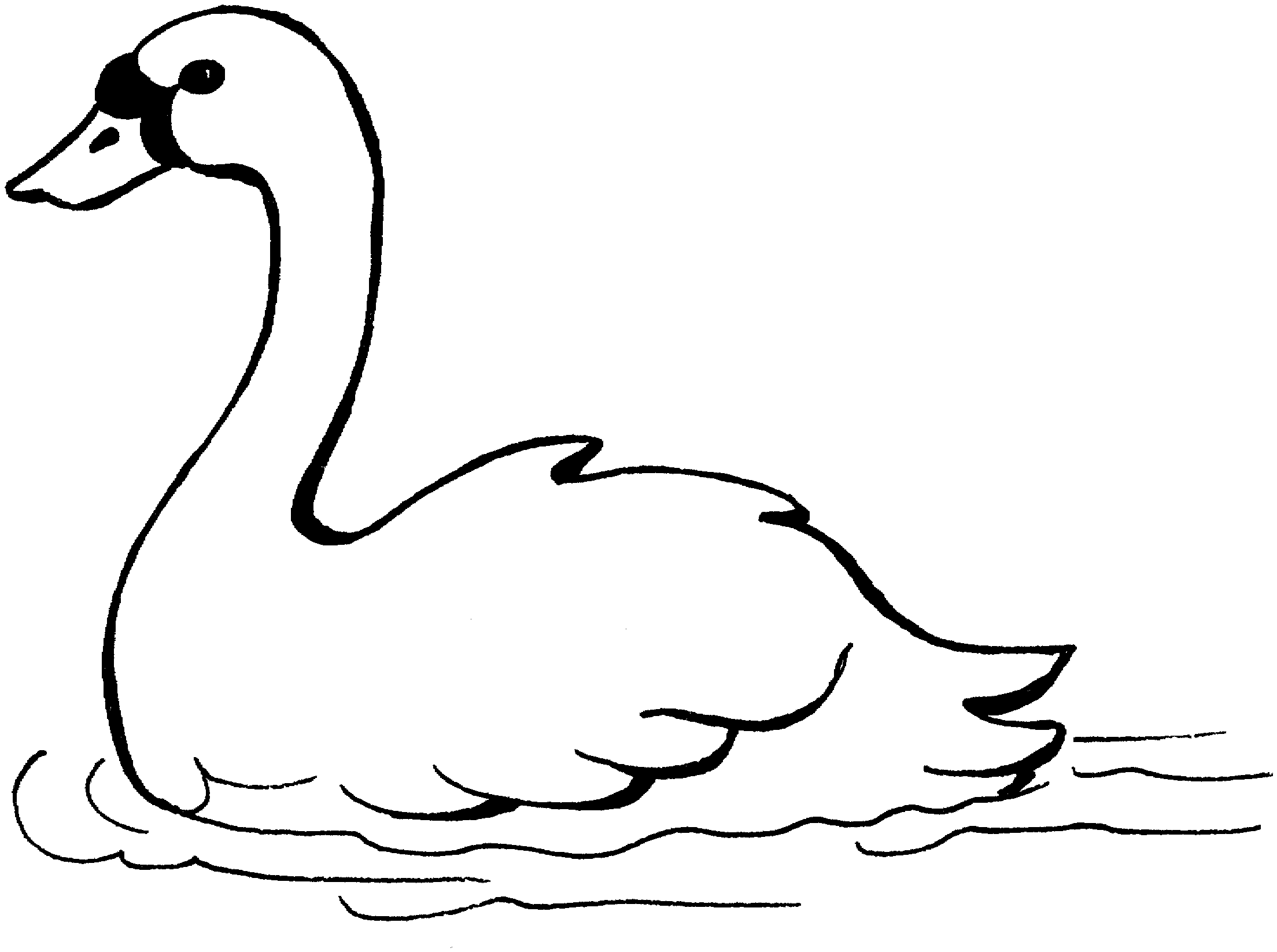 Download Trumpeter swans clipart 20 free Cliparts | Download images ...