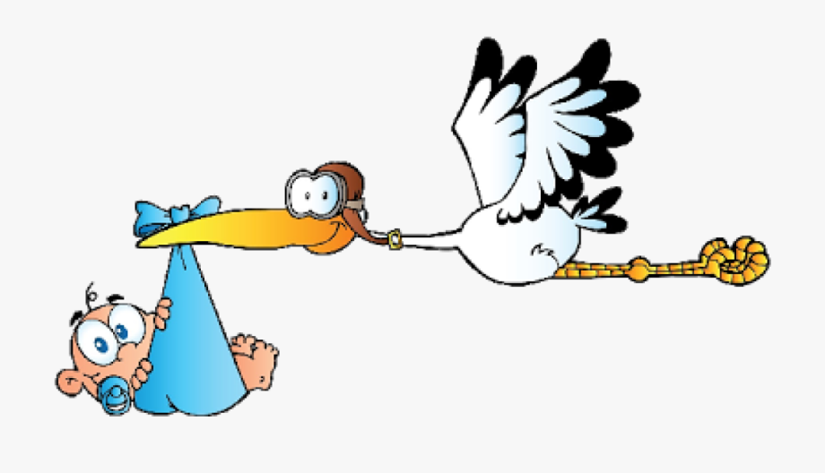 Stork Clipart Baby Animation.