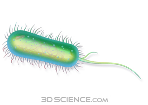3D Science Clip Art by Zygote Media Group, Inc..