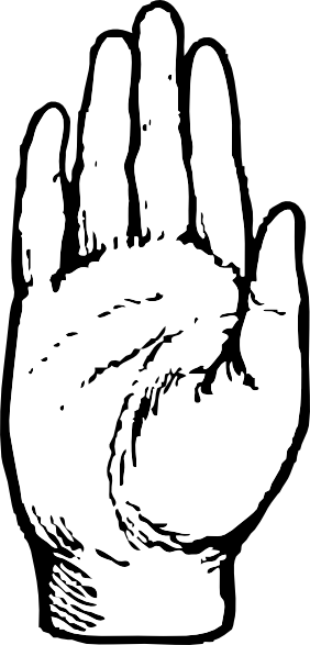 Back Of Hand Clipart.