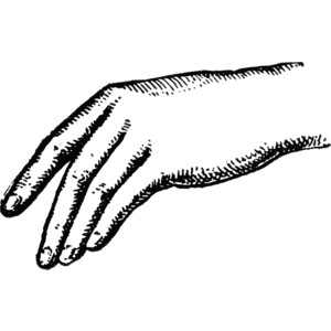 Back of hand clipart.