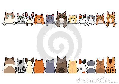 Cute cats border set, various breed, front side and back.