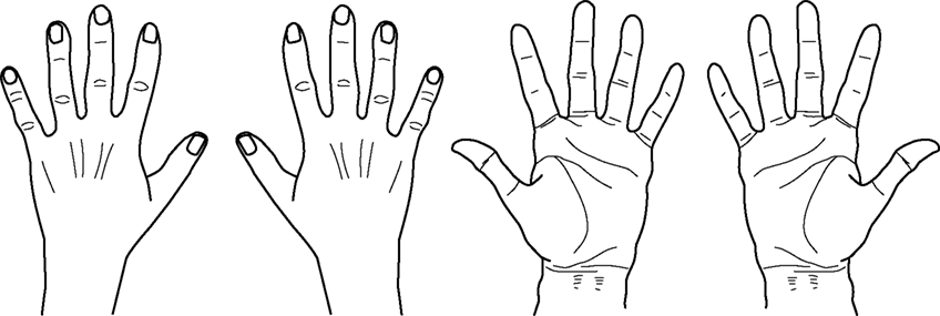 Back Of Hand Clipart.