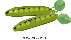 Green peas Illustrations and Clipart. 2,451 Green peas royalty.