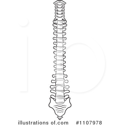 Vertebral column clipart 20 free Cliparts | Download images on