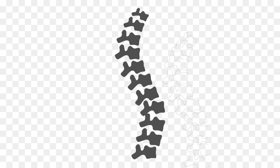 spine clipart free.