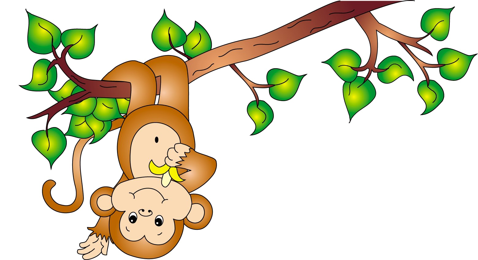 Cute Cartoon Monkey PNG Image Background.