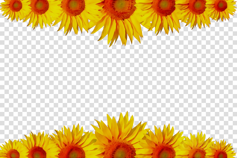 Flowers Clipart Background clipart.