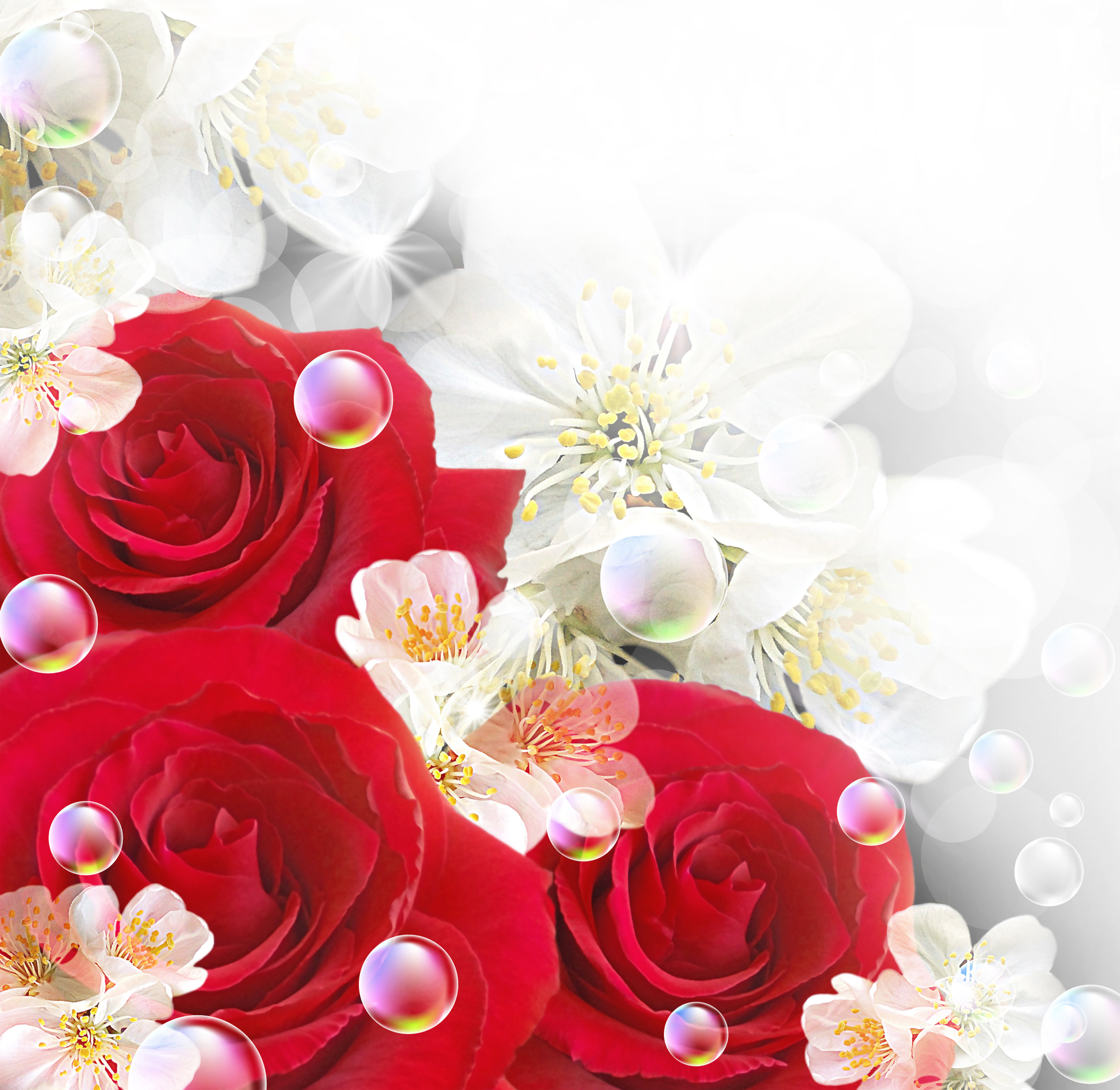 Background_with_Red_Roses_and_White_Flowers.jpg?m=1399676400.