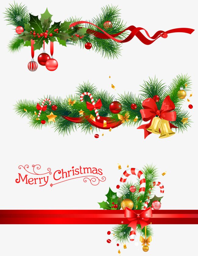 Christmas Bells And Pine Branches, Vector, Pine PNG.
