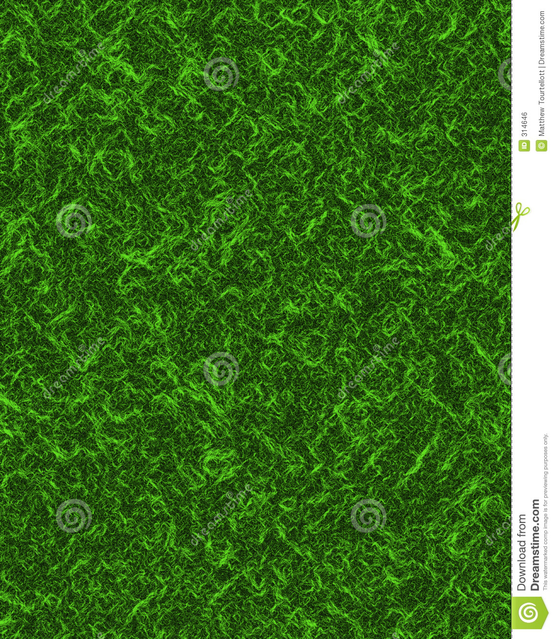 Mowed Grass Background Texture Royalty Free Stock Image.