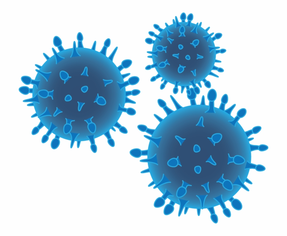 Bacteria Png, Download Png Image With Transparent Background.
