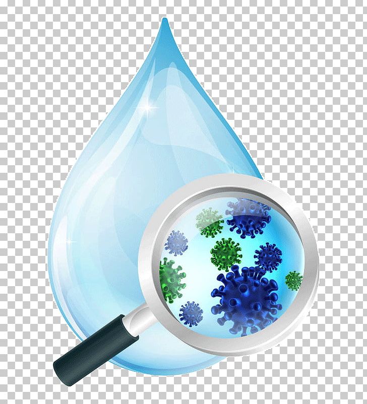 Magnifying Glass Bacteria Gut Flora Microscope PNG, Clipart.