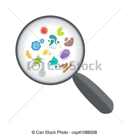 Bacteria and virus under magnifying glass.