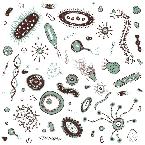 Bacteria and virusses vector dragonartz designs.