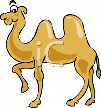 Bactrian camel clipart.