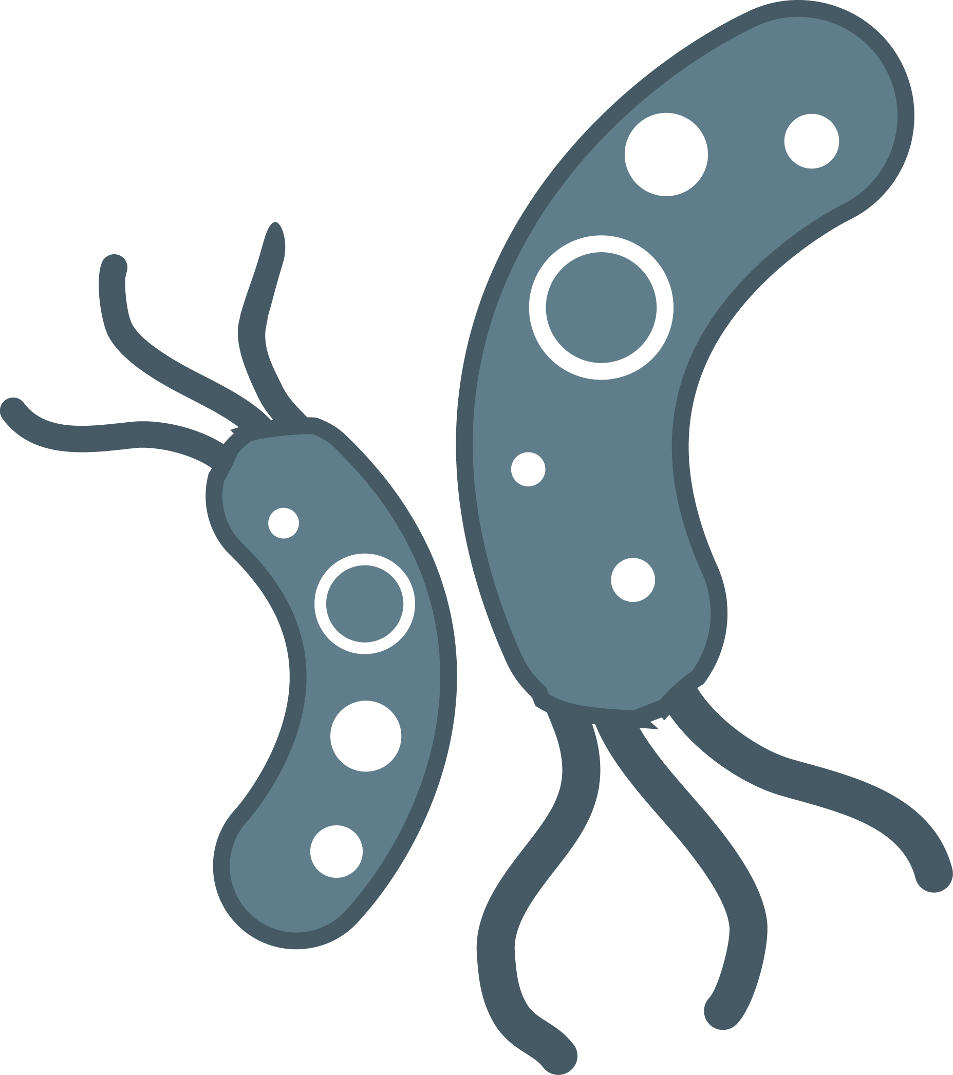 The best free Bacteria clipart images. Download from 59 free.