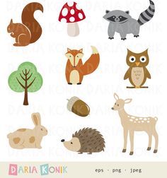 Zoo Clip Art Bundle from Educlips on TeachersNotebook.com.