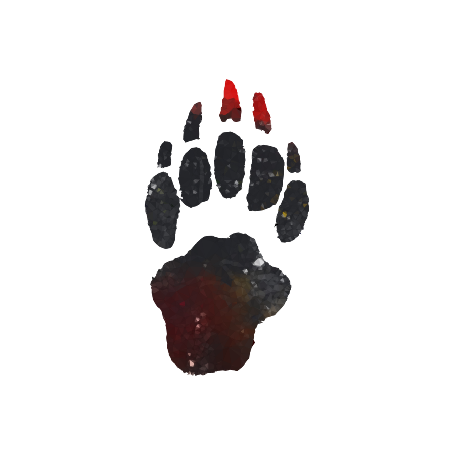 Download badger paw print clipart European badger Paw.