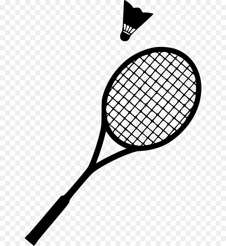 Euclidean vector Badminton.