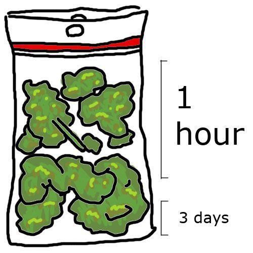 How every bag of weed gets smoked : trees.