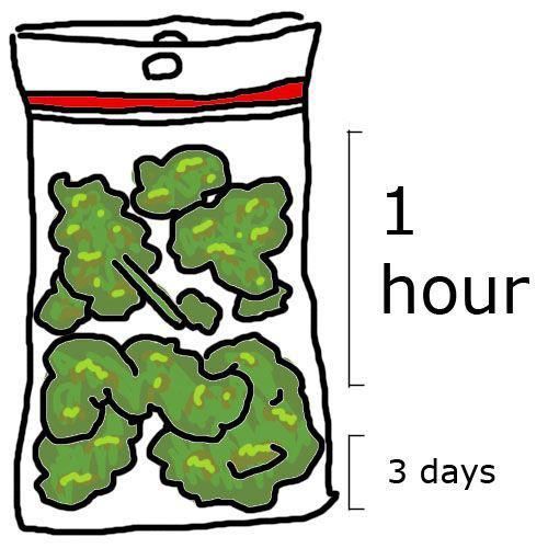 bag of weed clipart 10 free Cliparts | Download images on Clipground 2021