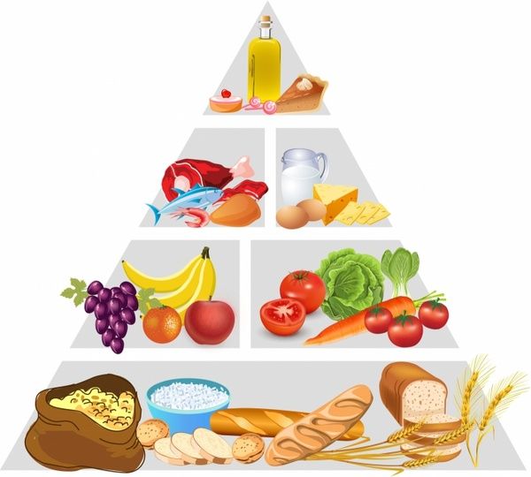 Balanced Diet Clipart 20 Free Cliparts Download Images On Clipground 2024