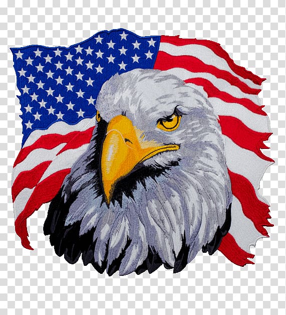 Bald eagle with USA flag background , United States T.