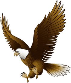 Free Eagle Clip Art Pictures.