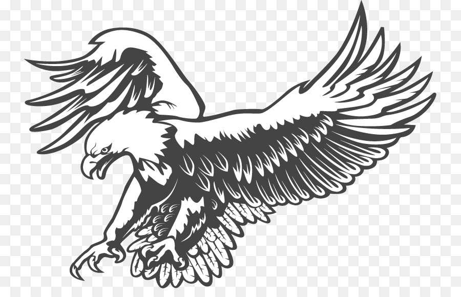 Bald Eagle Clipart Black And White 20 Free Cliparts | Download Images ...