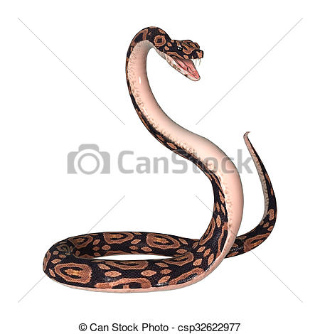 Ball python clipart 20 free Cliparts | Download images on ...
