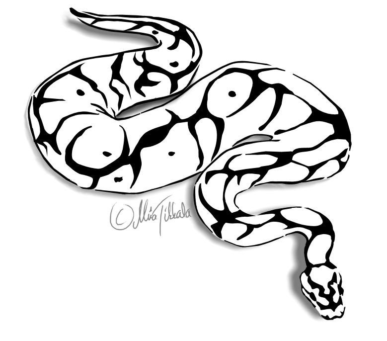 Download Ball python clipart 20 free Cliparts | Download images on ...