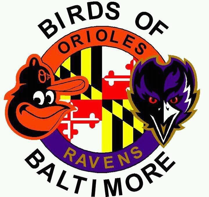Baltimore Ravens Clipart at GetDrawings.com.