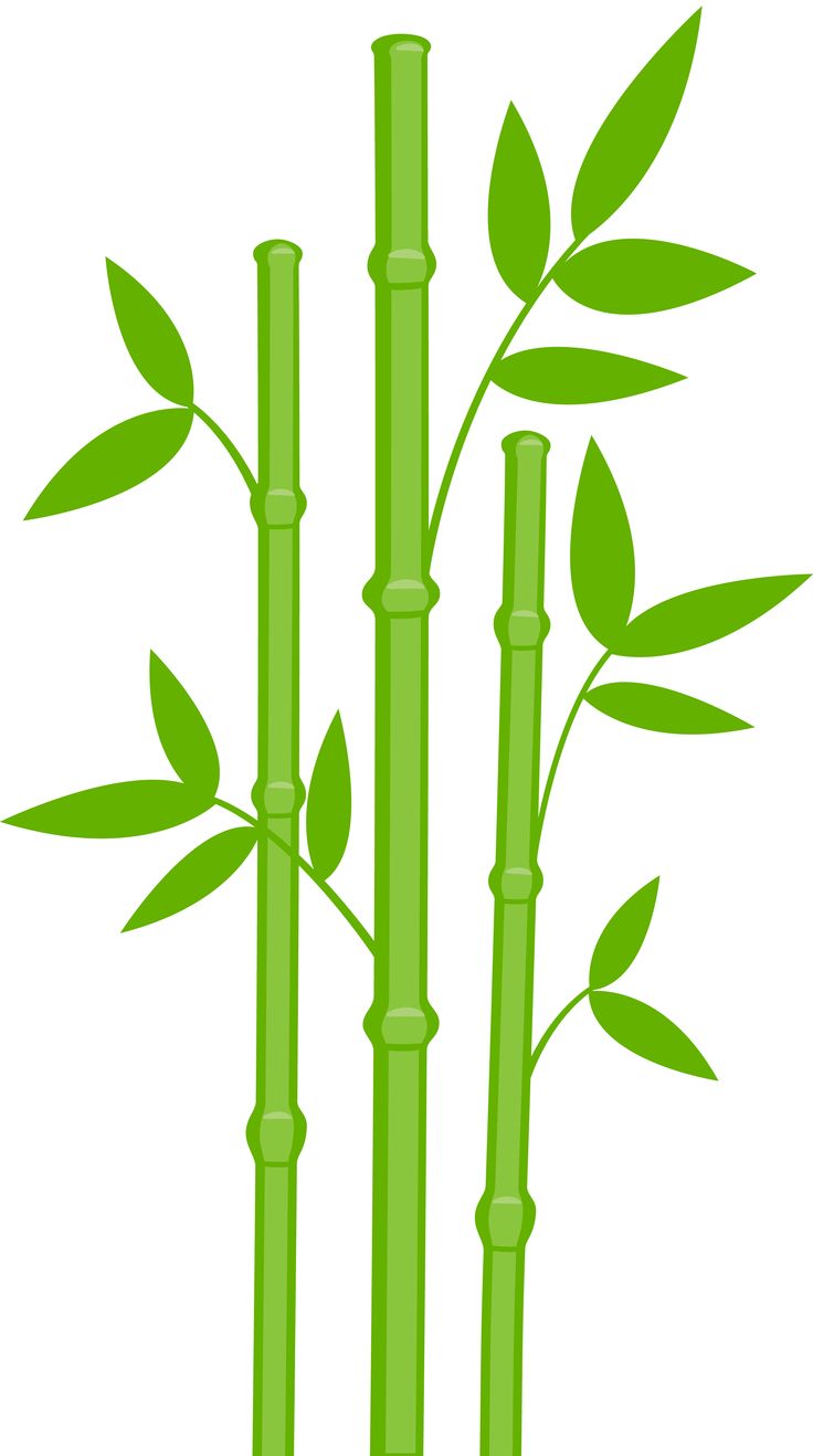 Bamboo Clip Art & Bamboo Clip Art Clip Art Images.