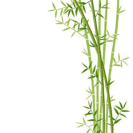 bamboo clip art 20 free Cliparts | Download images on Clipground 2024