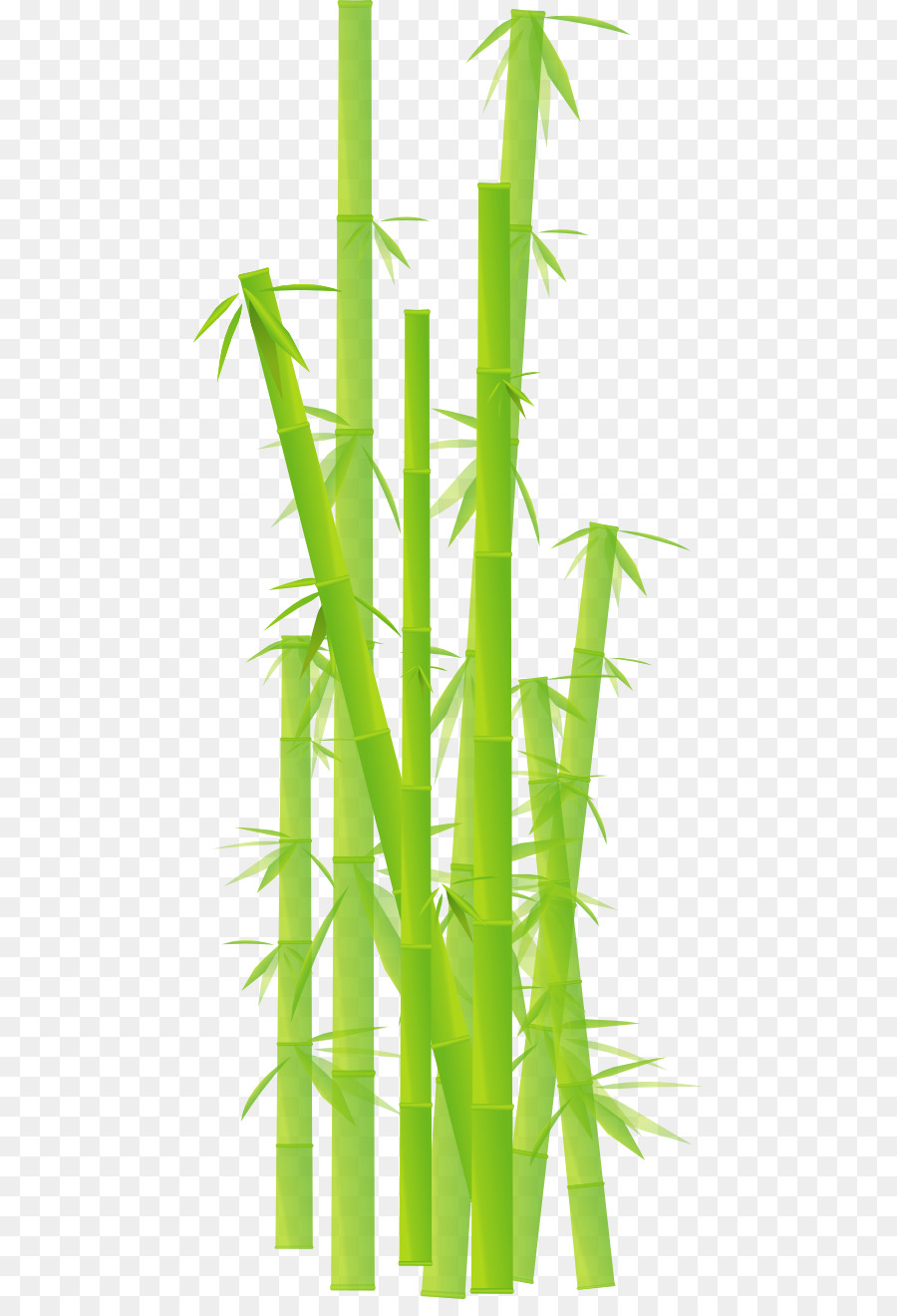 Bamboo Cartoon.