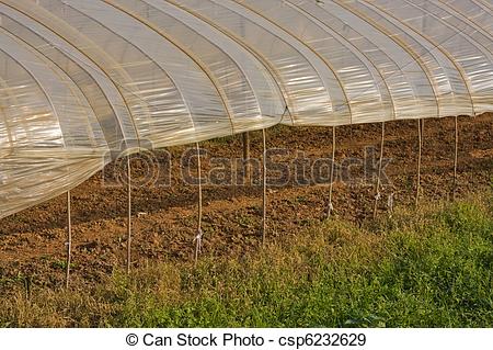 Stock Photographs of plastic green house.