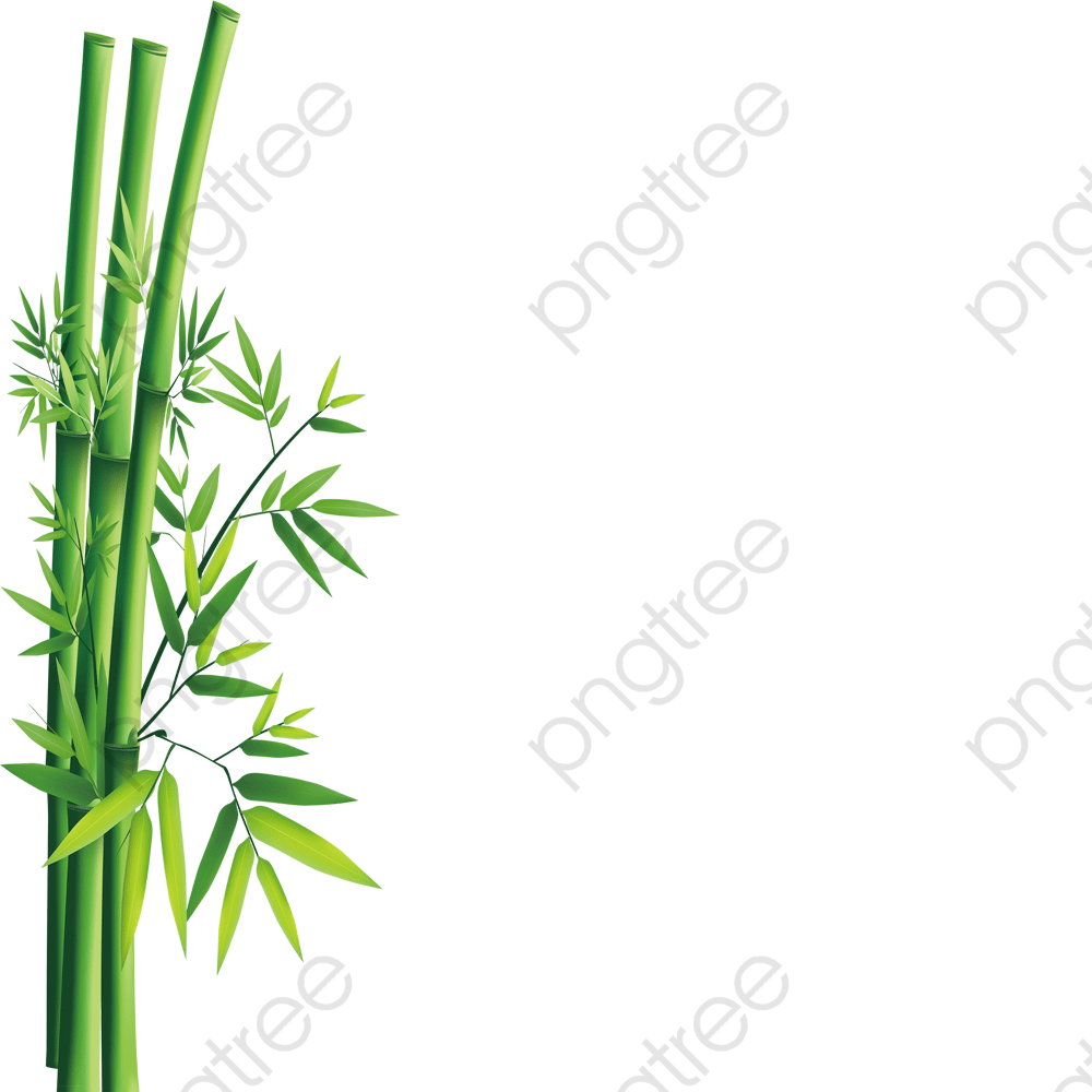 Bamboo, Bamboo Clipart, Green PNG Transparent Image and Clipart for.