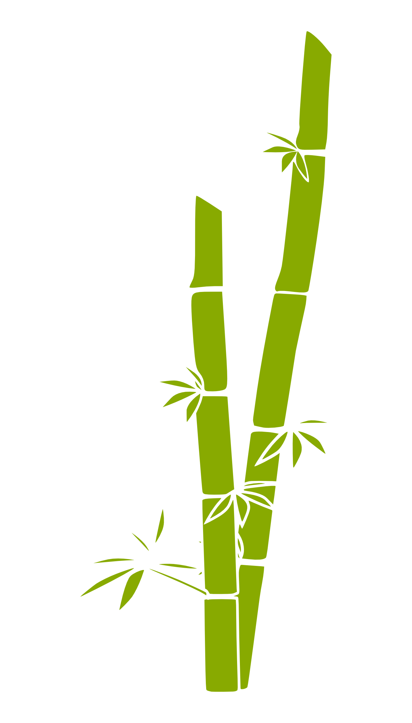 Clip art bamboo.