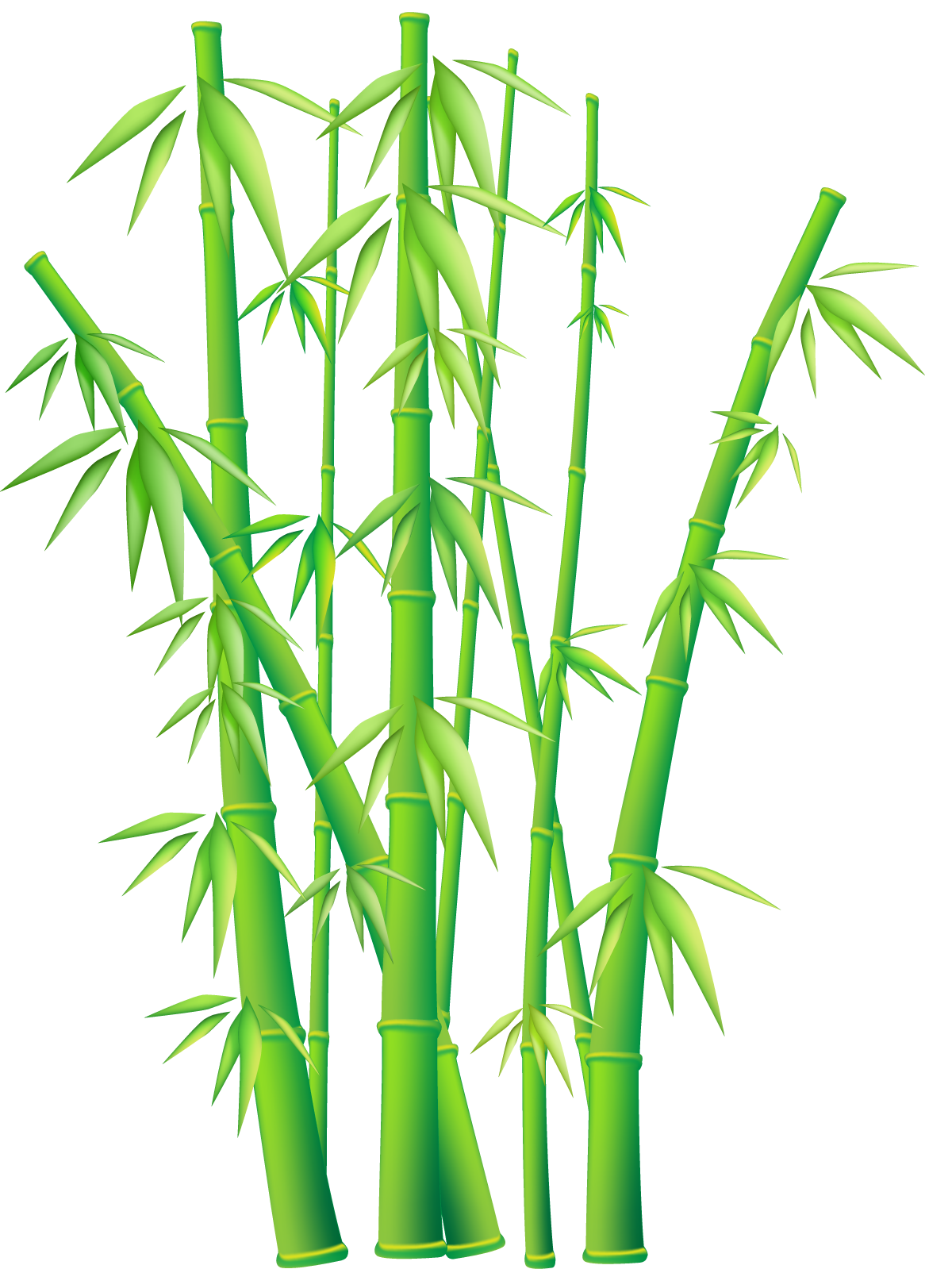 Bamboo leaves clipart 20 free Cliparts | Download images on Clipground 2021