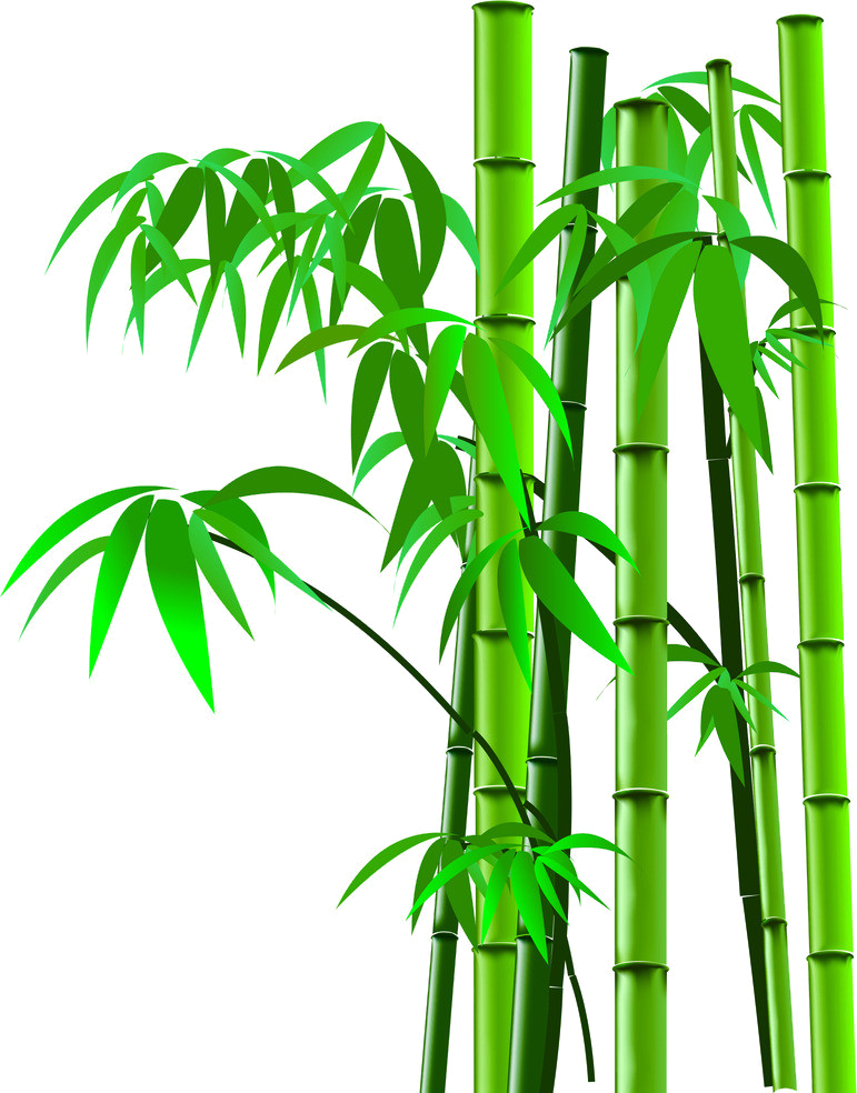 Bamboo Png Image 20 Free Cliparts Download Images On Clipground 2024   Bamboo Png Image 1 