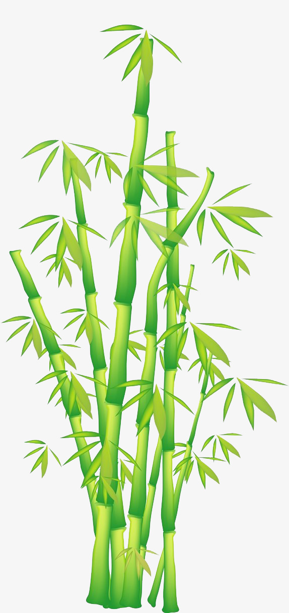 Bamboo Vector Png at GetDrawings.com.