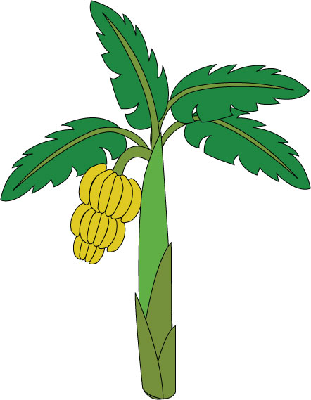 Banana plant clipart.